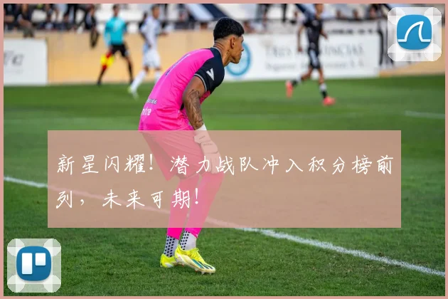 新星闪耀!潜力战队冲入积分榜前列,未来可期!