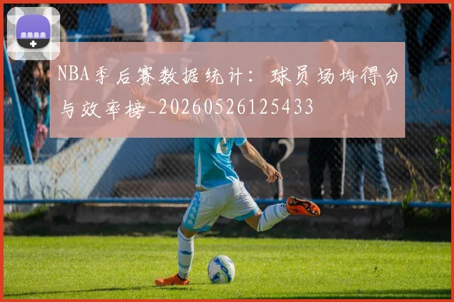 NBA季后赛数据统计:球员场均得分与效率榜_20260526125433